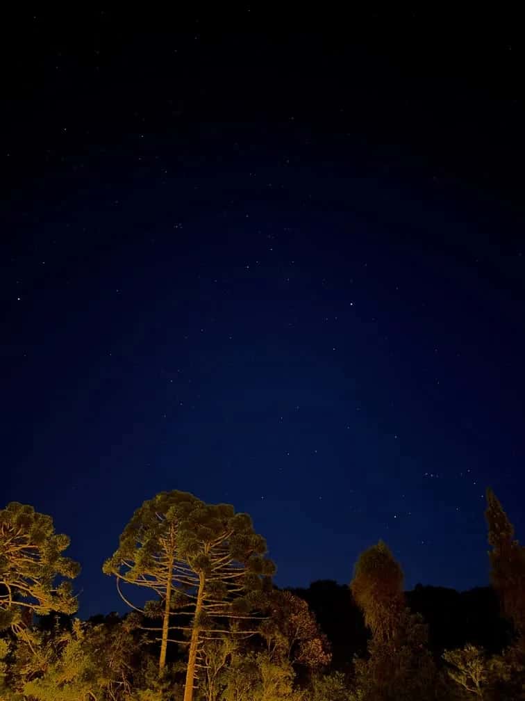 Noites sob as estrelas