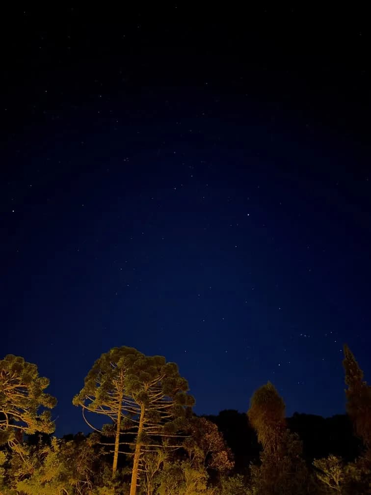 Noites sob as estrelas